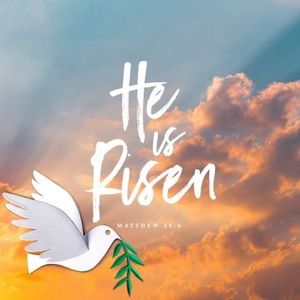 Meet your Posher, Raylene